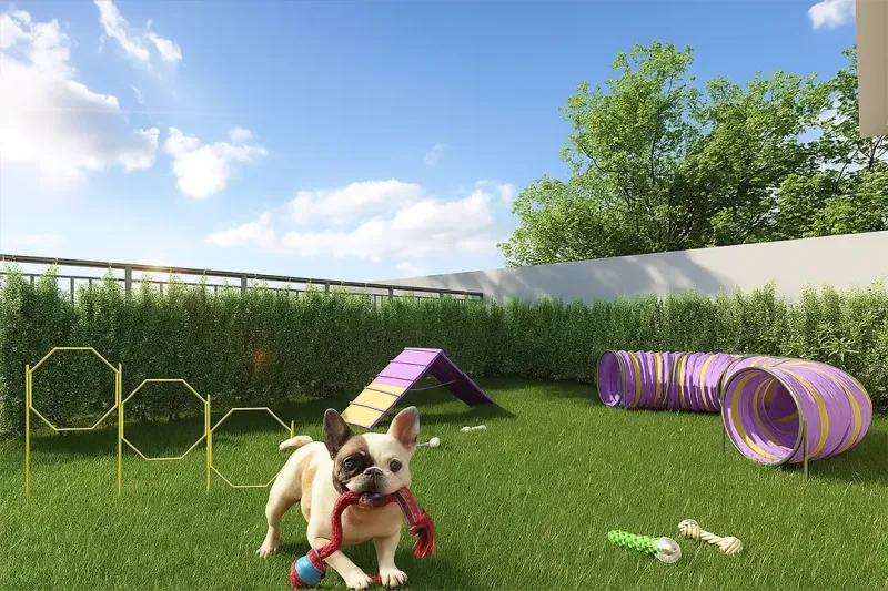Pet Place Residencial Solaris